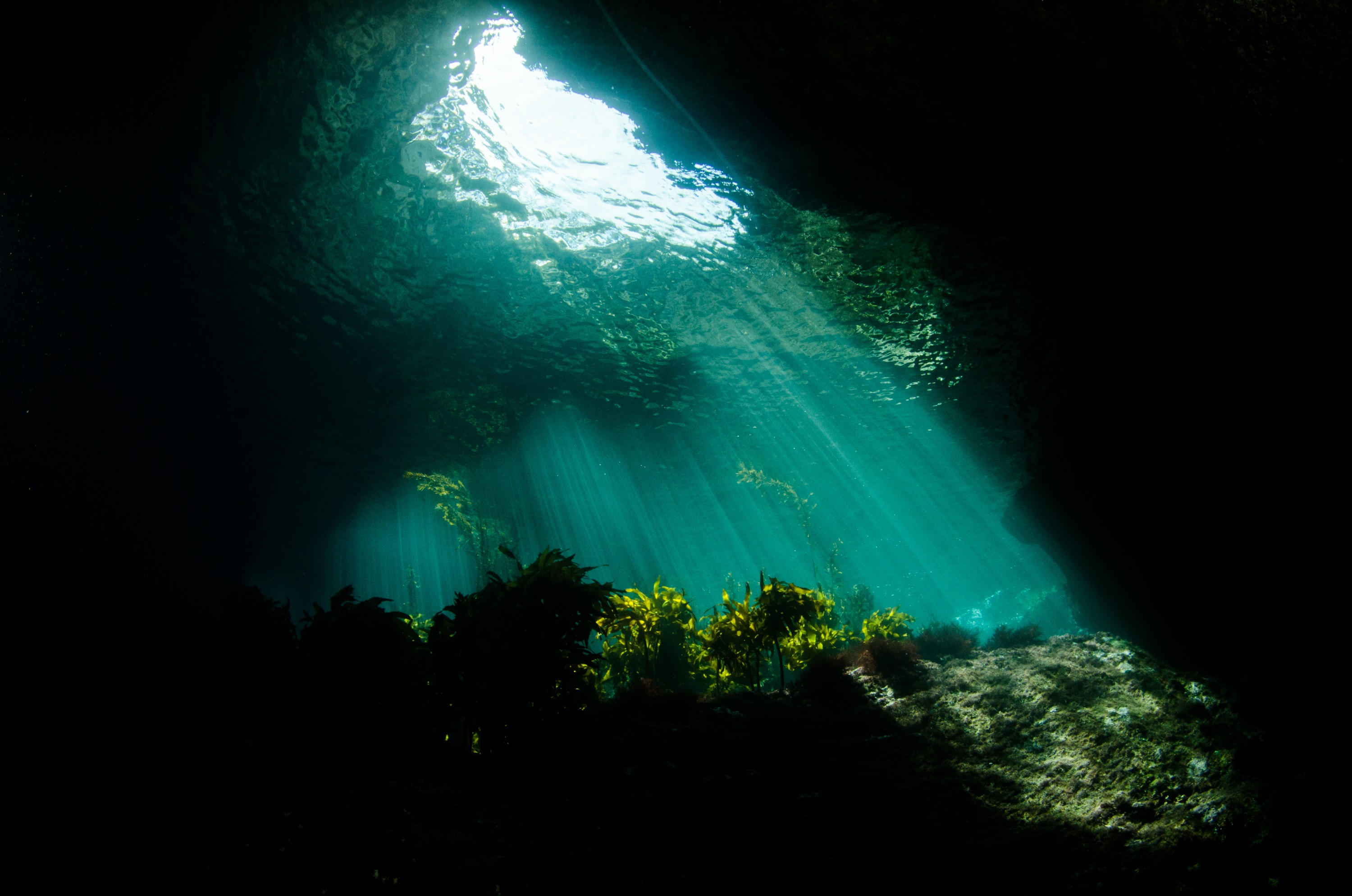 DSC_1998 – new, zealand, new zealand, nz, crispin, poor, knights, marine, reserve, Jans, Tunnel/, Lost, World, cave, fave place,