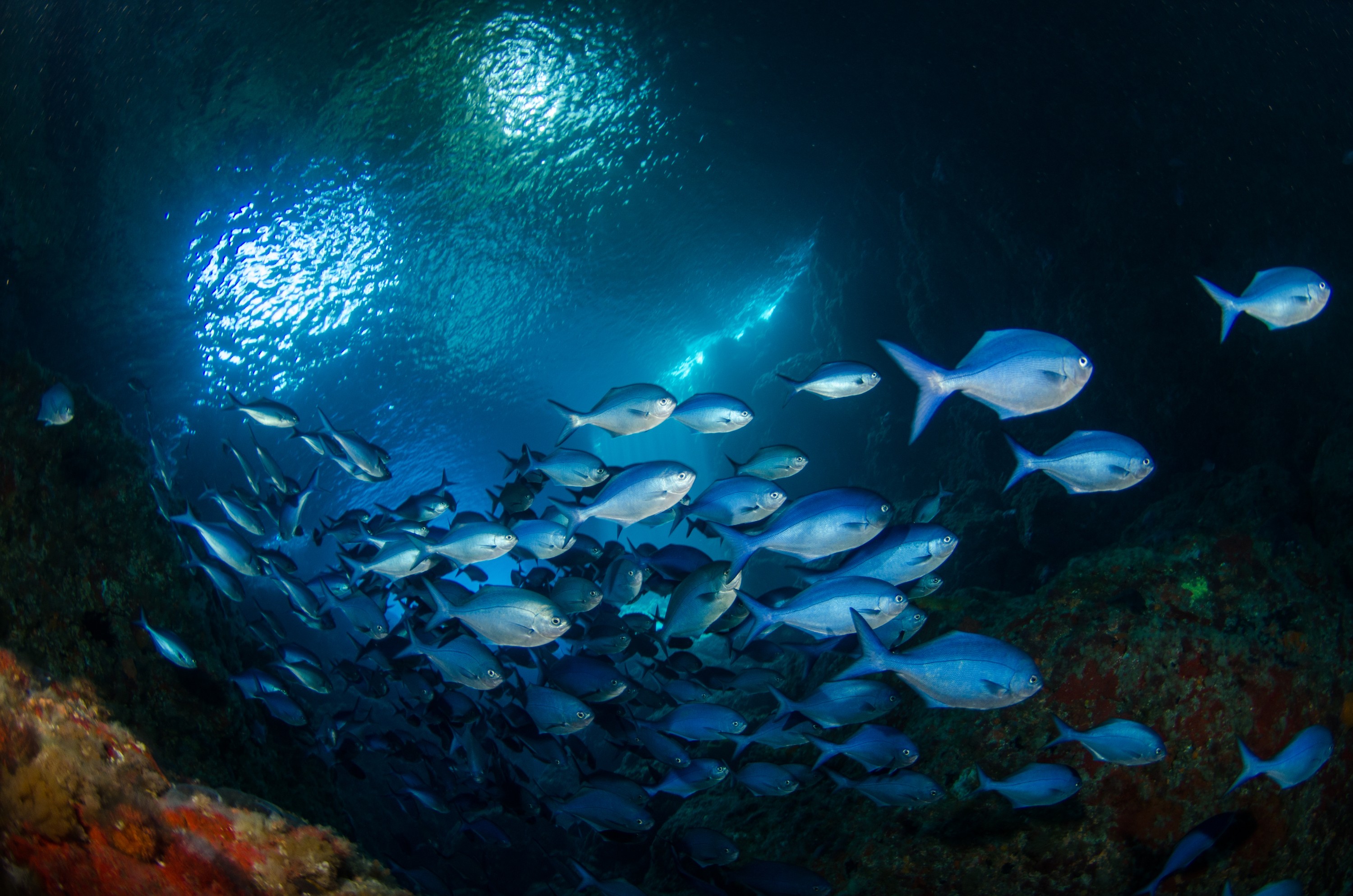 DSC_0371
