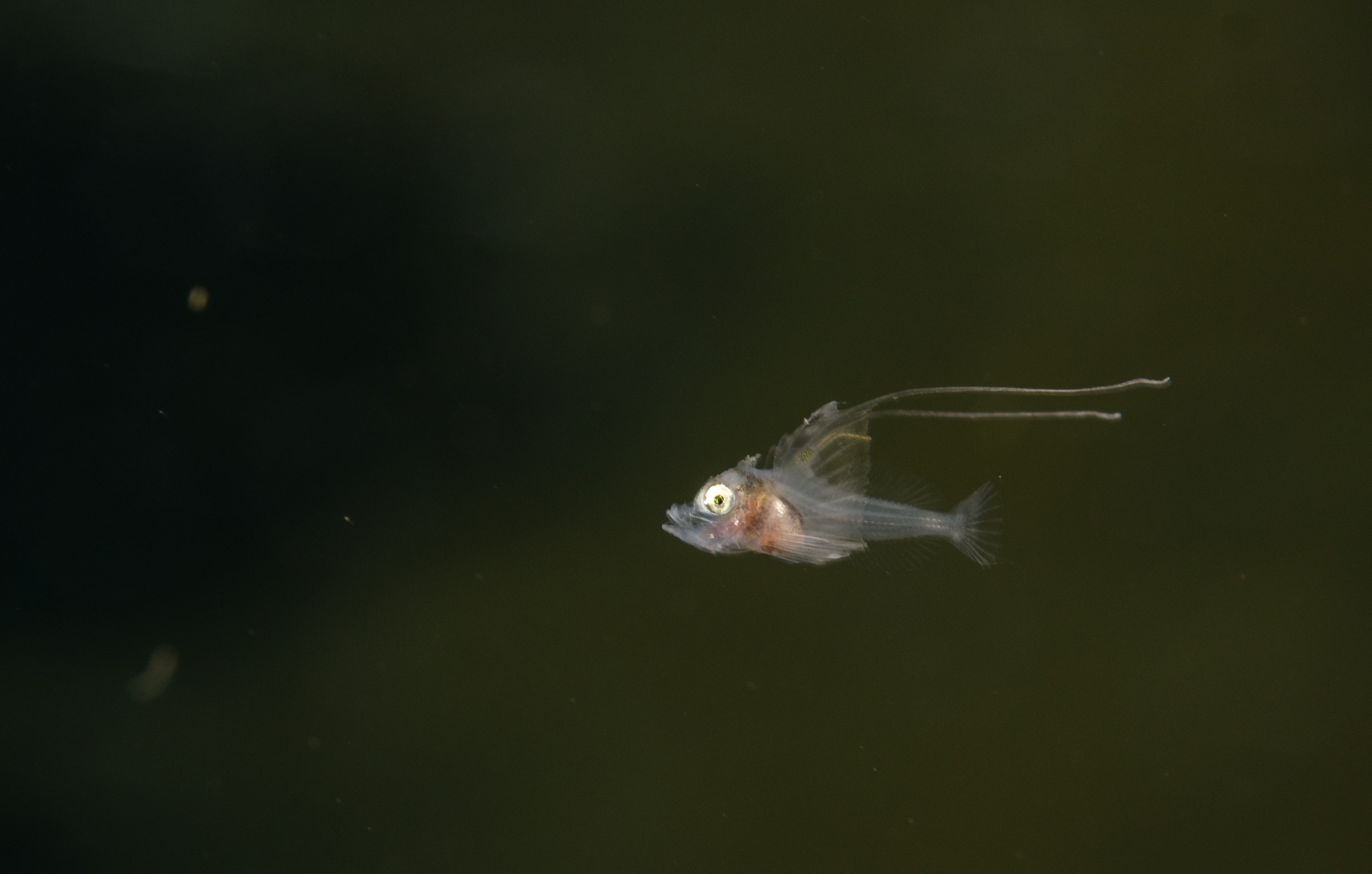 DSC_5711