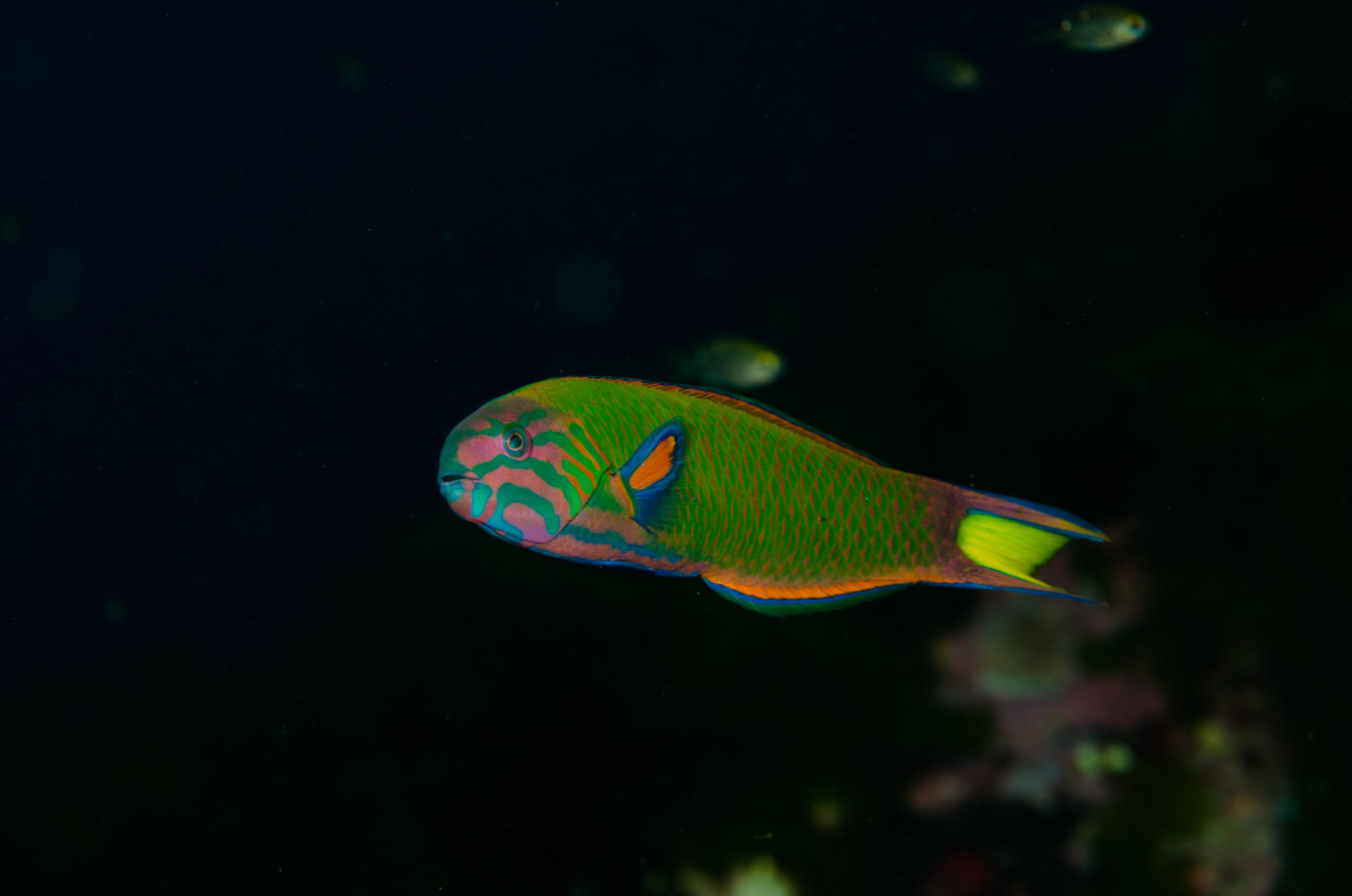 DSC_8691