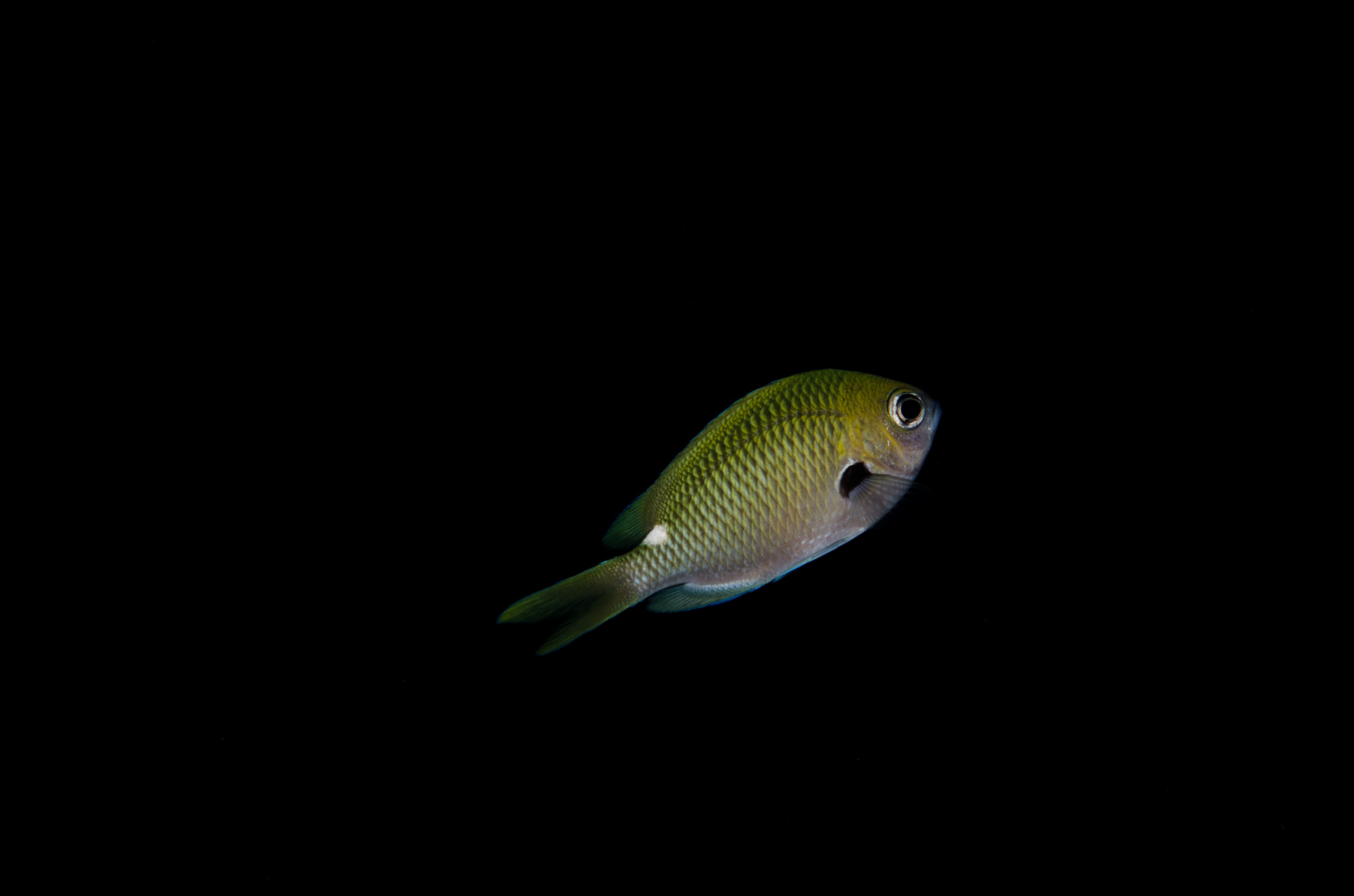 DSC_8835