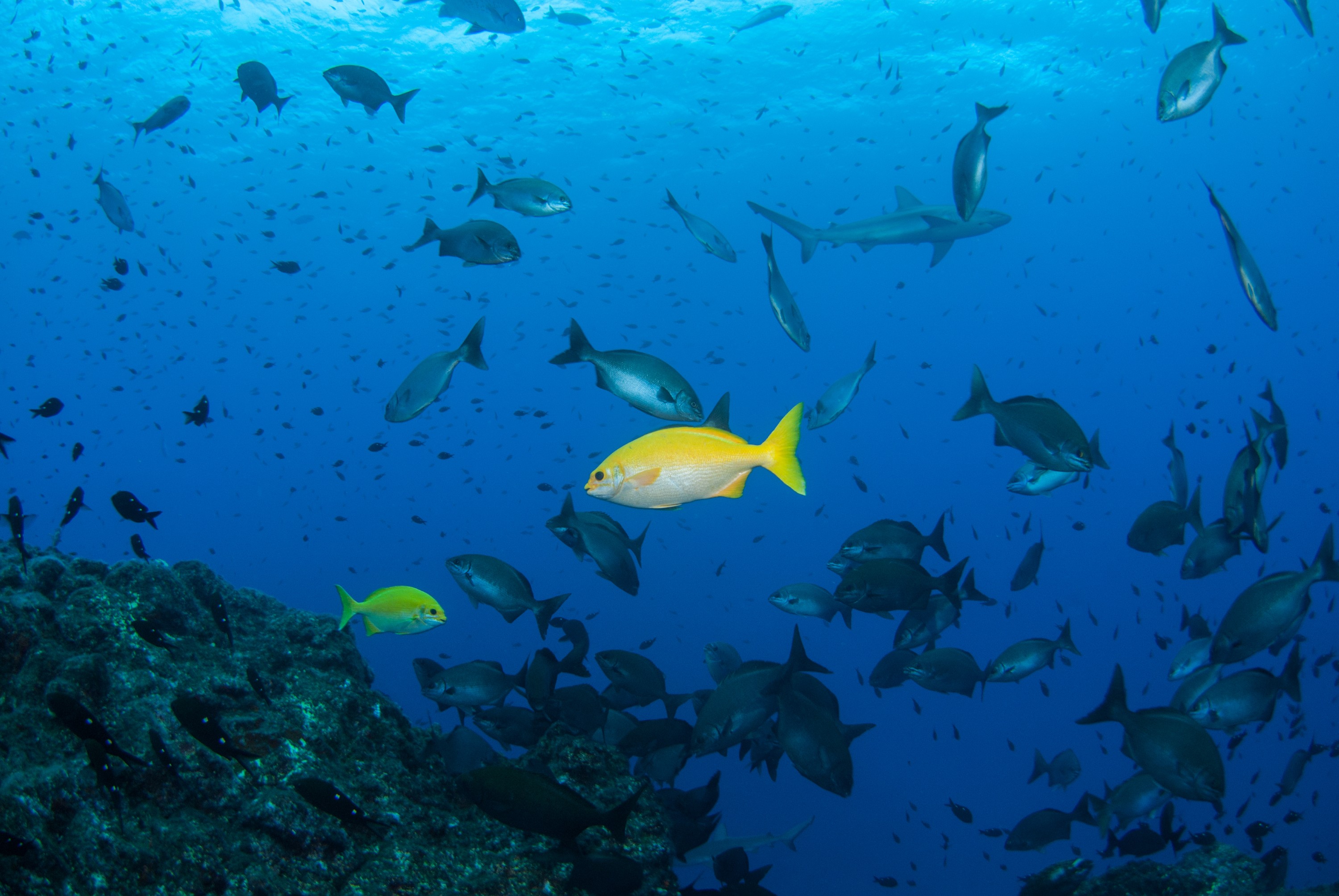 _JFG3059