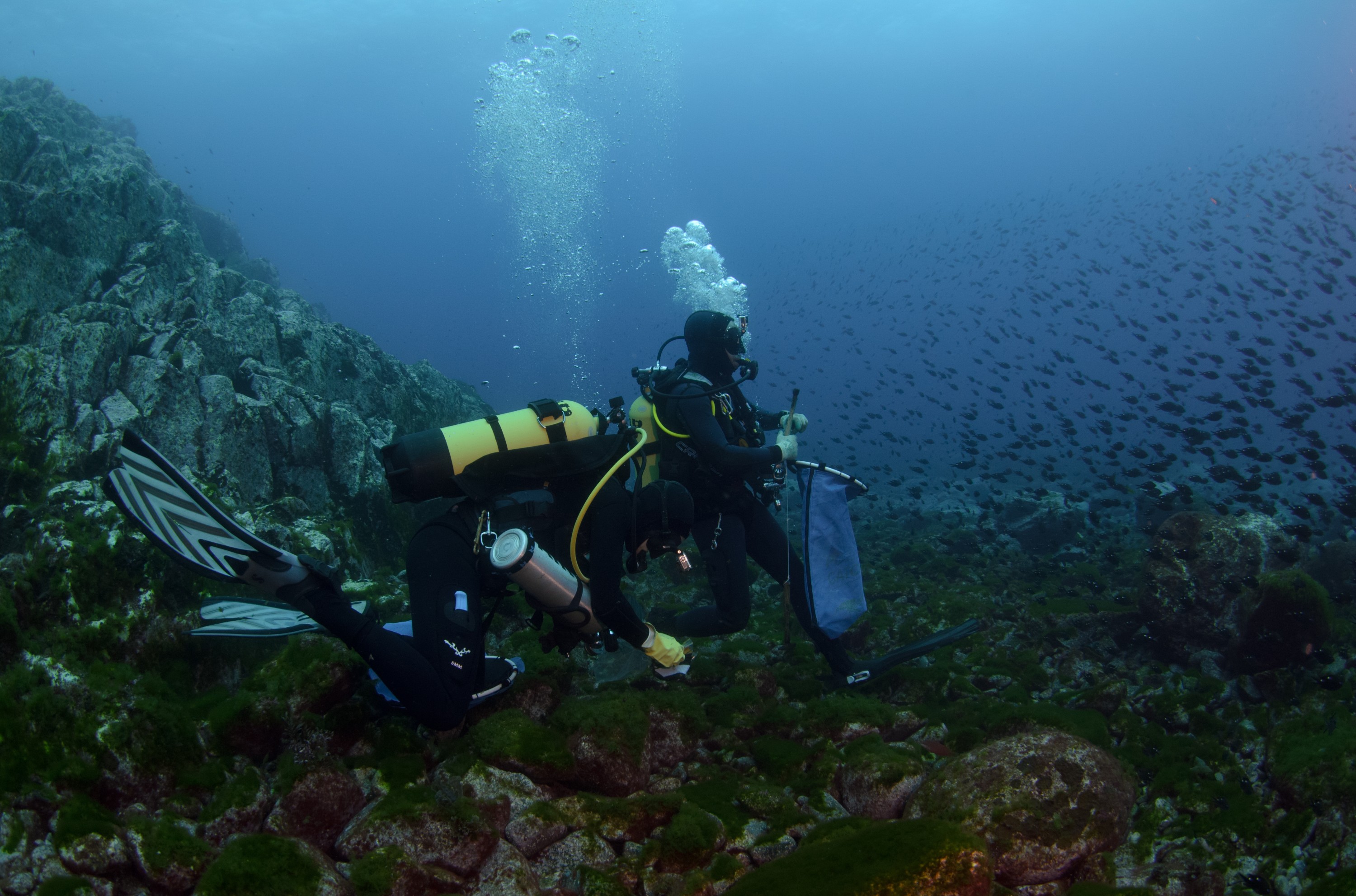 DSC_0723 – 2016, Kermadec, NIWA, New, October 16, RV, Zealand, crispin, expedition, havre, kermadecs, marine, nz, ocean, reserve, rock, sanctuary, seacology, seacologynz, tangaroa