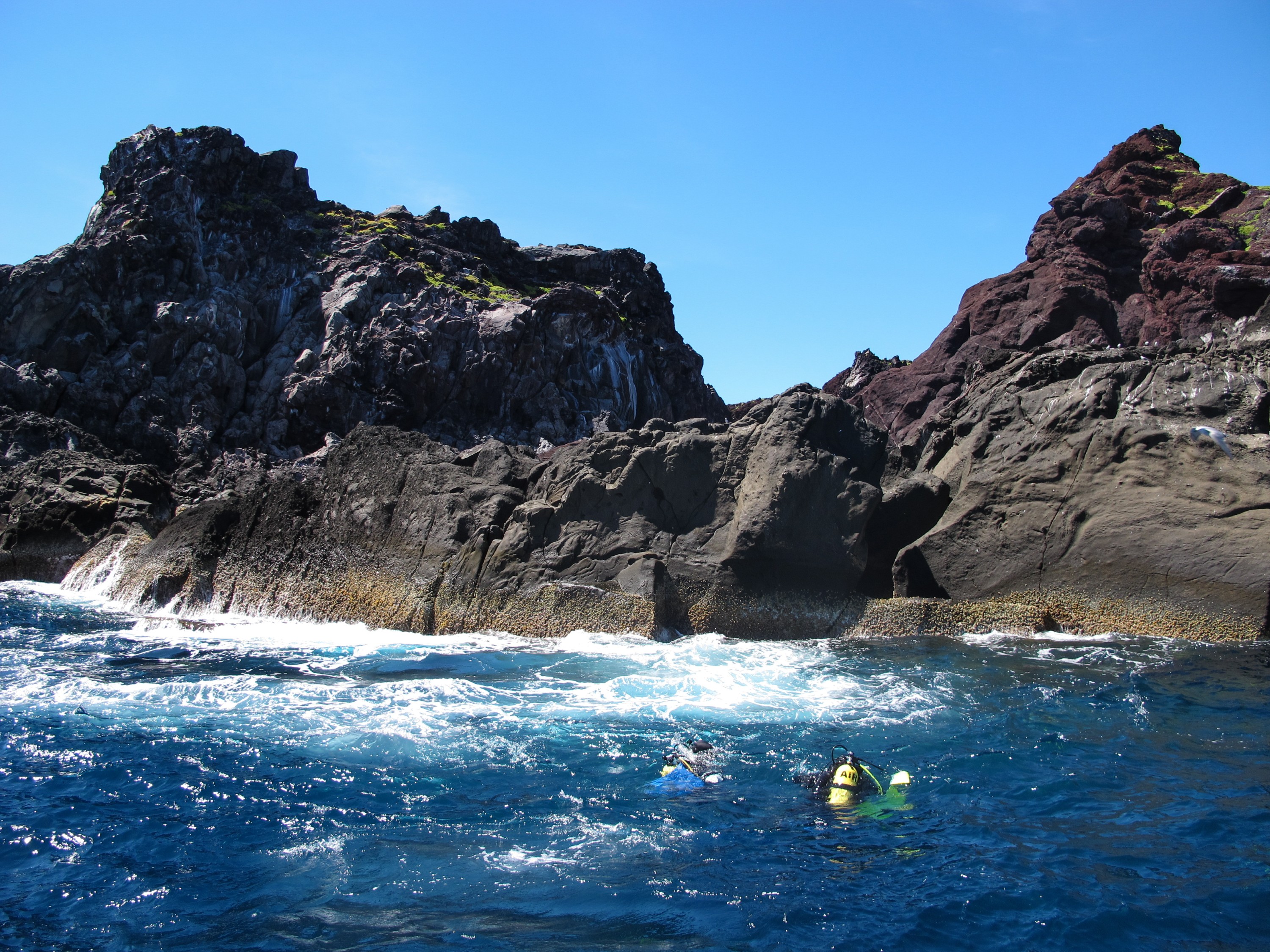 IMG_9460 – 2016, Kermadec, NIWA, New, October 16, RV, Zealand, crispin, expedition, kermadecs, marine, nz, ocean, reserve, sanctuary, seacology, seacologynz, tangaroa