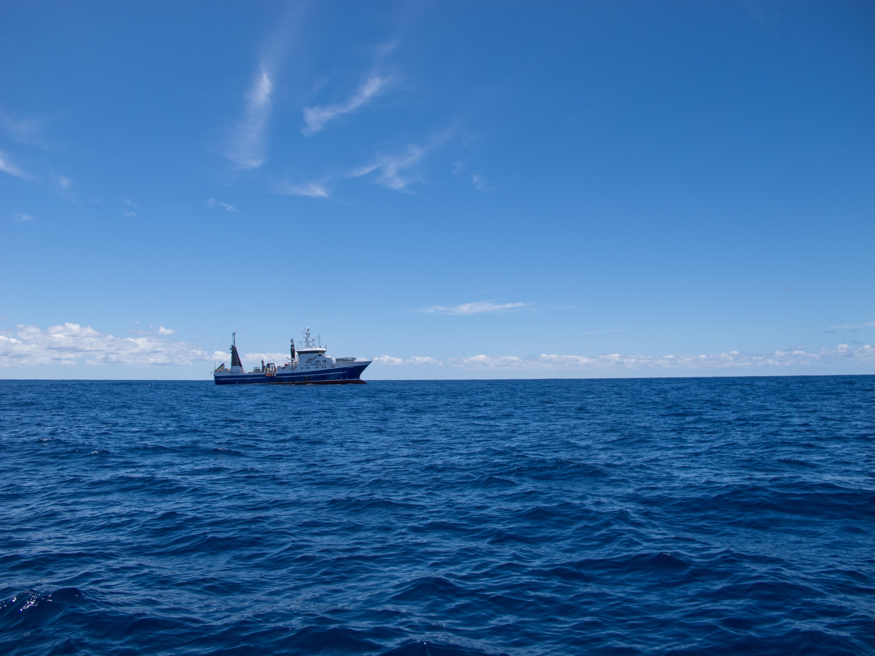 IMG_9470 – 2016, Kermadec, NIWA, New, October 16, RV, Zealand, crispin, expedition, kermadecs, marine, nz, ocean, reserve, sanctuary, seacology, seacologynz, tangaroa