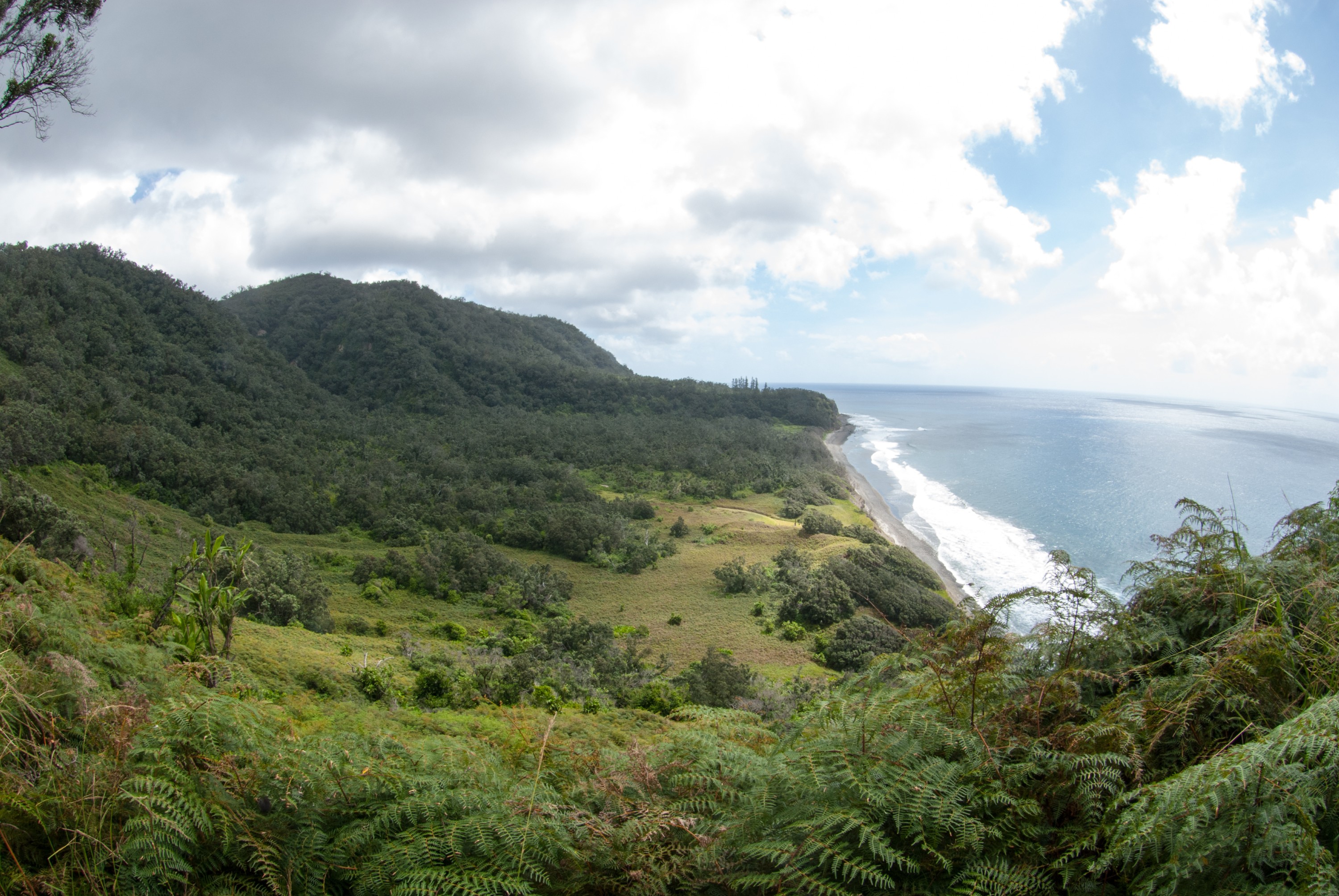 _JFG3590 – kermadec, islands, kermadecs, dive, images, remote, doc, sub tropical, subtropical, sub-tropical, marine, reserve, expedition, lust for rust, mesley, crispin, nz, new, zealand, new zealand, crispin, Kermadecs 13, topside, top, side