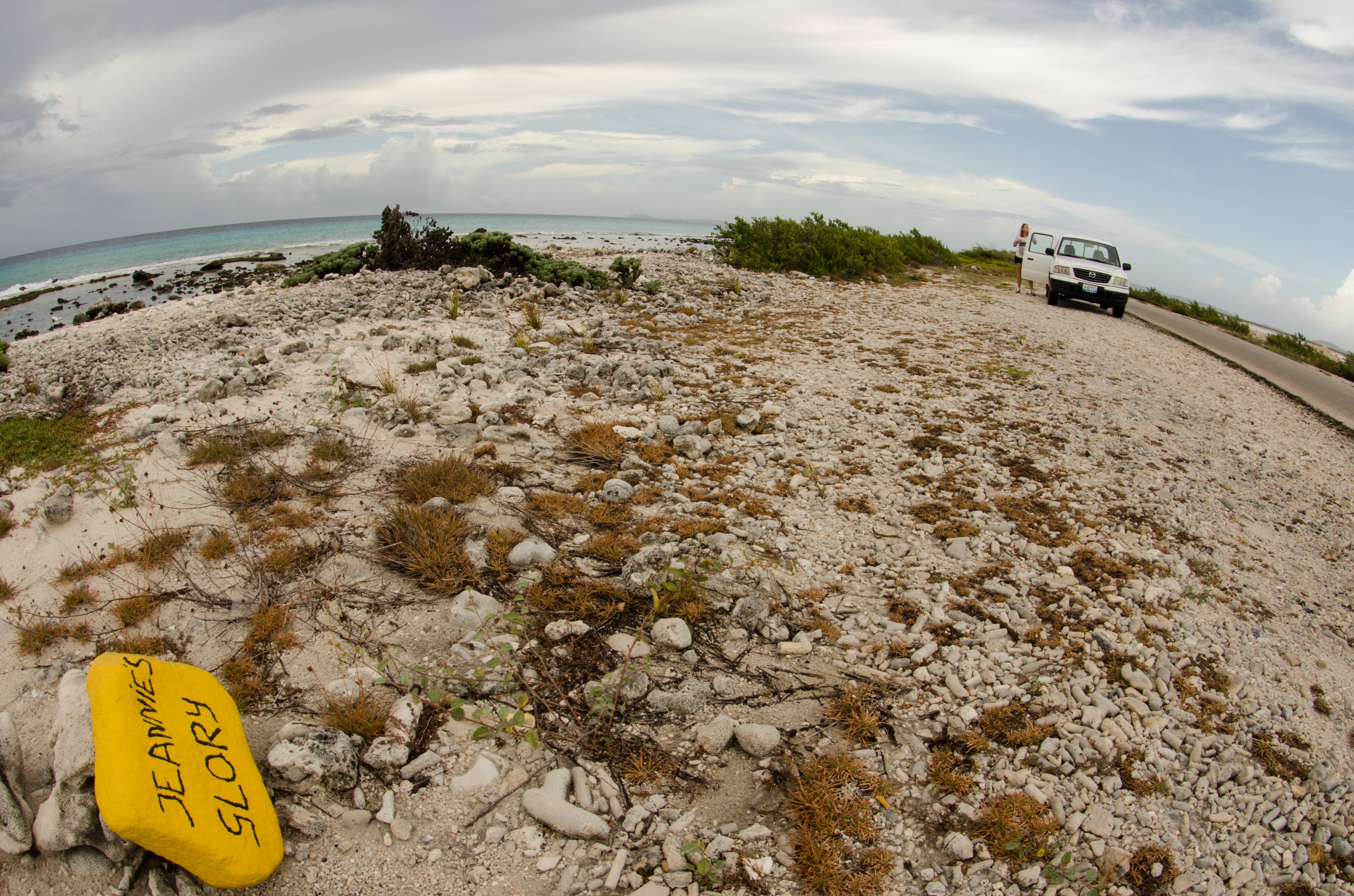 DSC_5087 – Bonaire, Marine, Park, Caribbean, crispin, aaus, dive, site, jeannies, glory