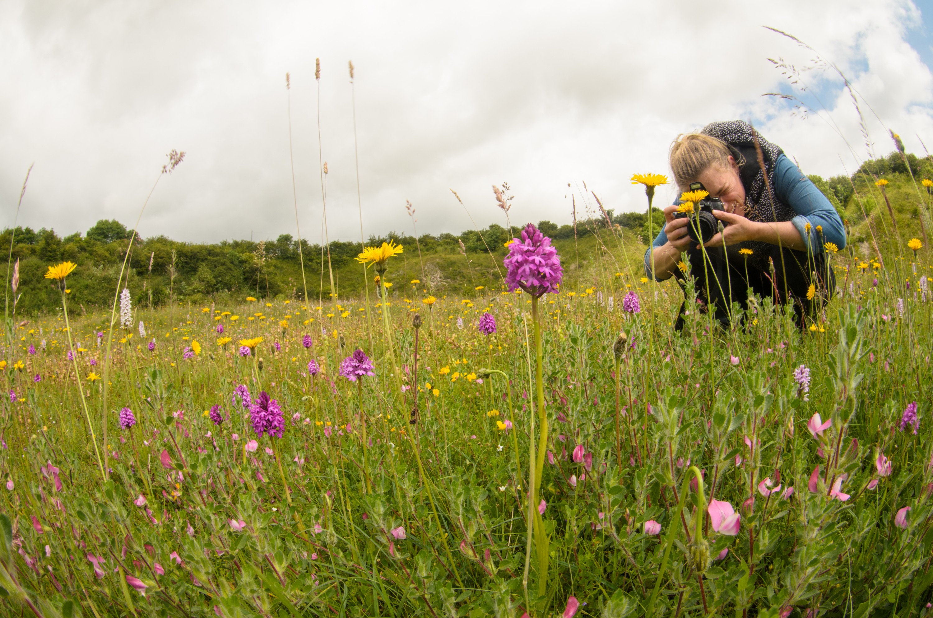 DSC_3160 – UK16, Yorkshire, crispin, england, meadow, orchid, uk