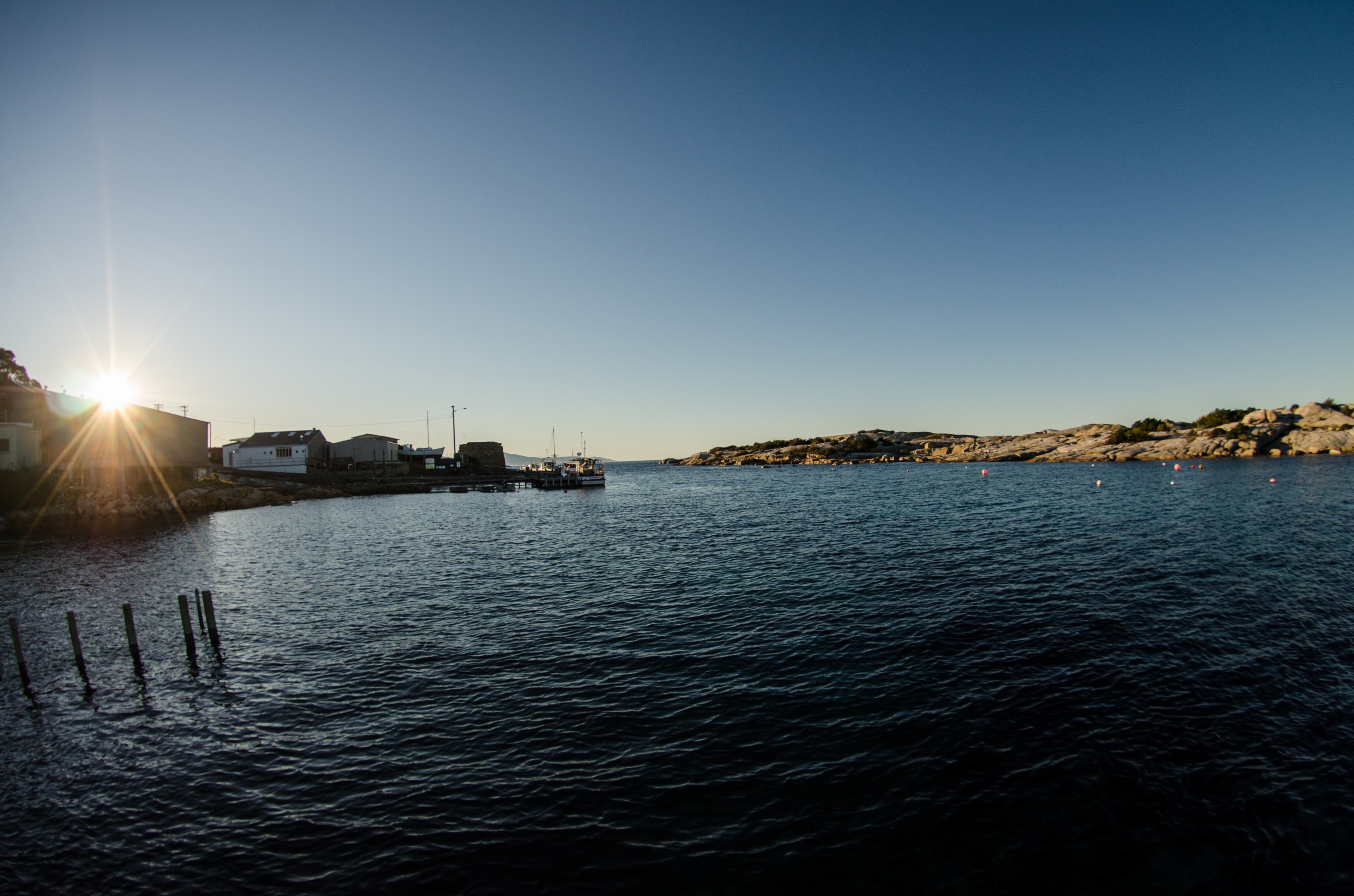 DSC_7106 – Bicheno, Tasmania, Crispin, Australia, dive, images, Tasmania, crispin, australia, image, Tasmania, Bicheno, image, australia